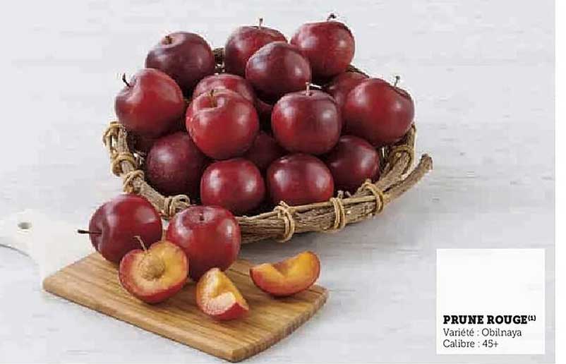 PRUNE ROUGE