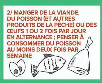 2/ MANGER DE LA VIANDE, DU POISSON (ET AUTRES PRODUITS DE LA PÊCHE) OU DES OEUFS 1 OU 2 FOIS PAR JOUR EN ALTERNANCE ; PENSER À CONSOMMER DU POISSON AU MOINS DEUX FOIS PAR SEMAINE