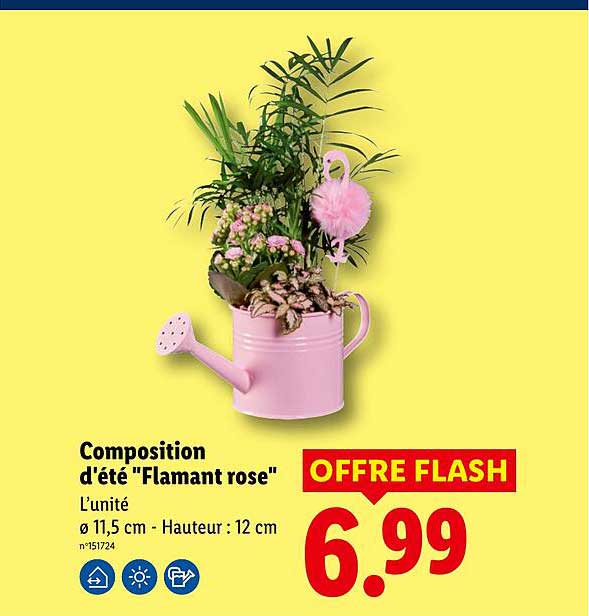 Composition d’été "Flamant rose"