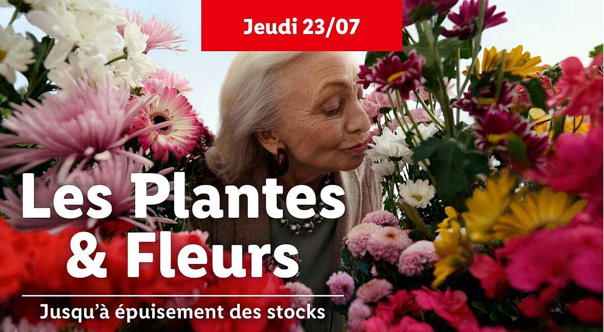 Les Plantes & Fleurs