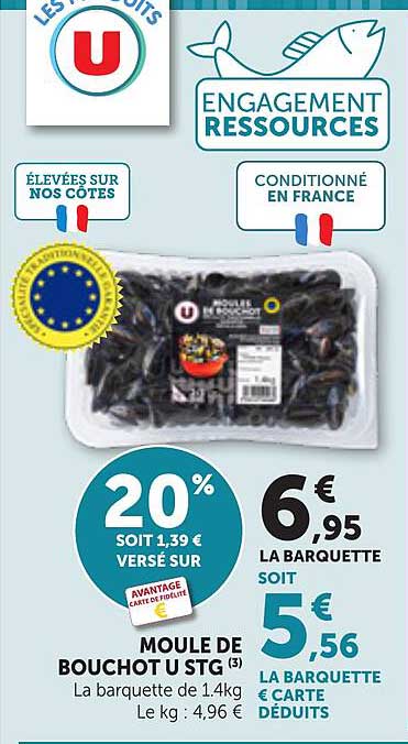 MOULE DE BOUCHOT JTG (3)