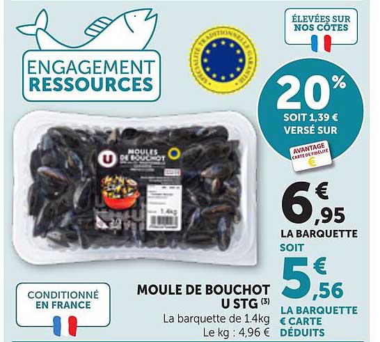 MOULE DE BOUCHOT U STG (3)