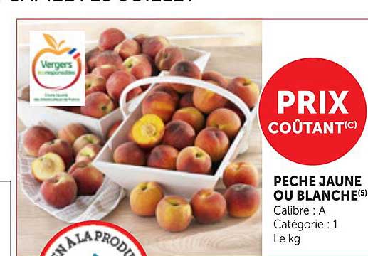 PECHE JAUNE OU BLANCHE(5)