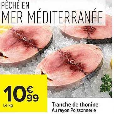 Tranche de thonine