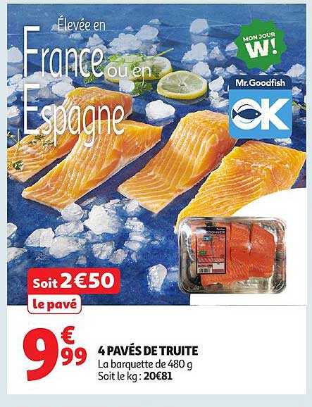 4 PAVÉS DE TRUITE