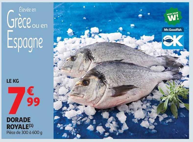 DORADE ROYALE