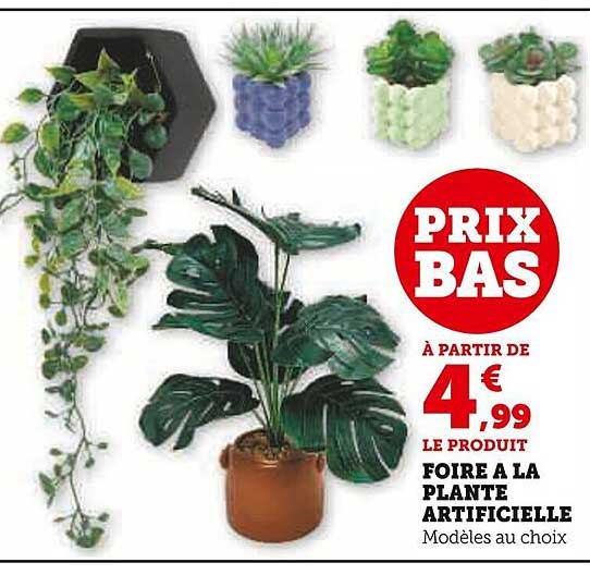 FOIRE A LA PLANTE ARTIFICIELLE
