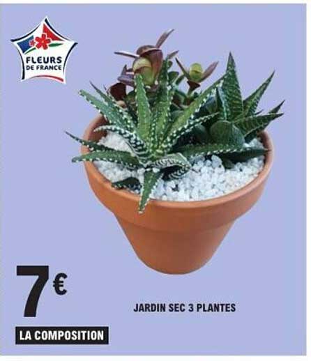 JARDIN SEC 3 PLANTES