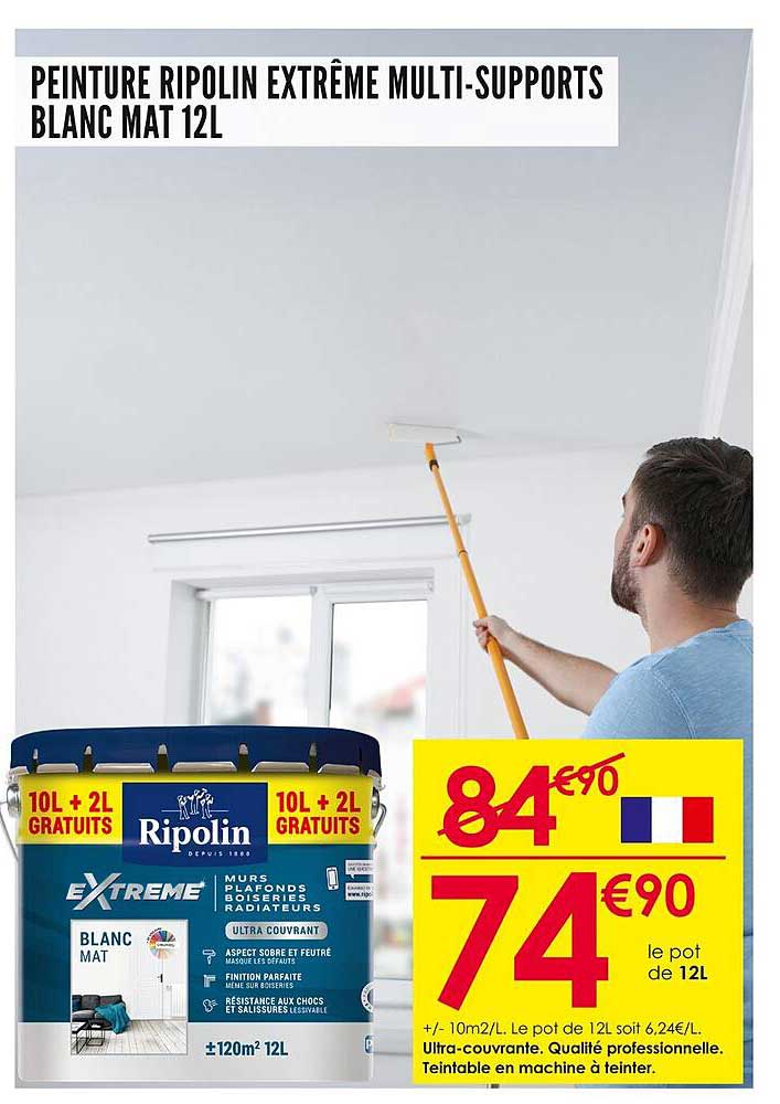 PEINTURE RIPOLIN EXTRÊME MULTI-SUPPORTS BLANC MAT 12L
