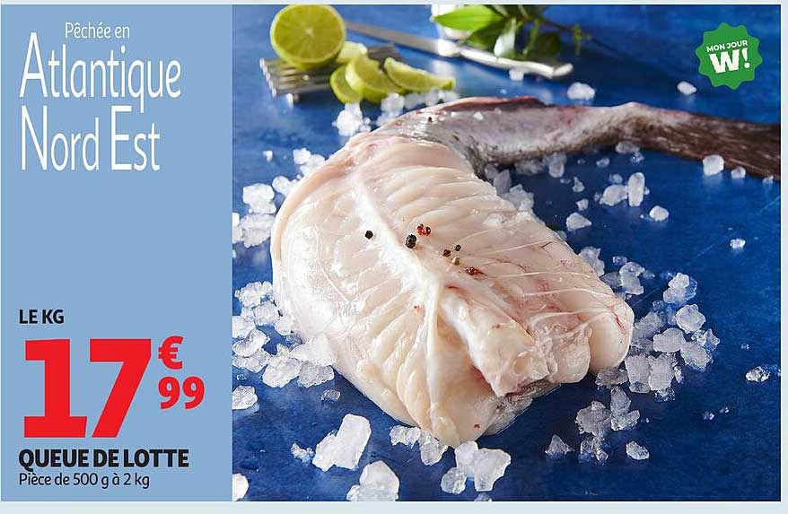 QUEUE DE LOTTE