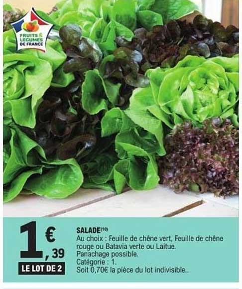 SALADES au choix : Feuille de chêne vert, Feuille de chêne rouge ou Batavia verte ou Laitue.
