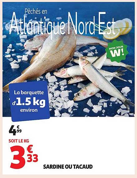 SARDINE OU TACAUD