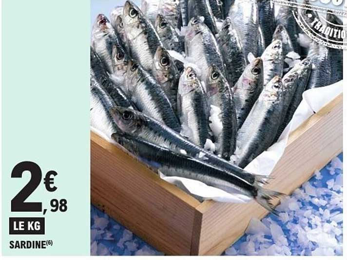 Sardine