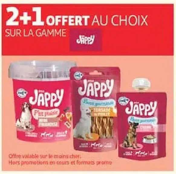 2+1 OFFERT AU CHOIX SUR LA GAMME Jappy