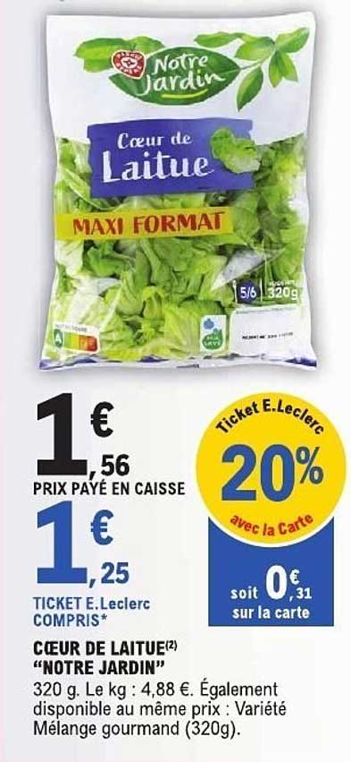 CŒUR DE LAITUE “NOTRE JARDIN”