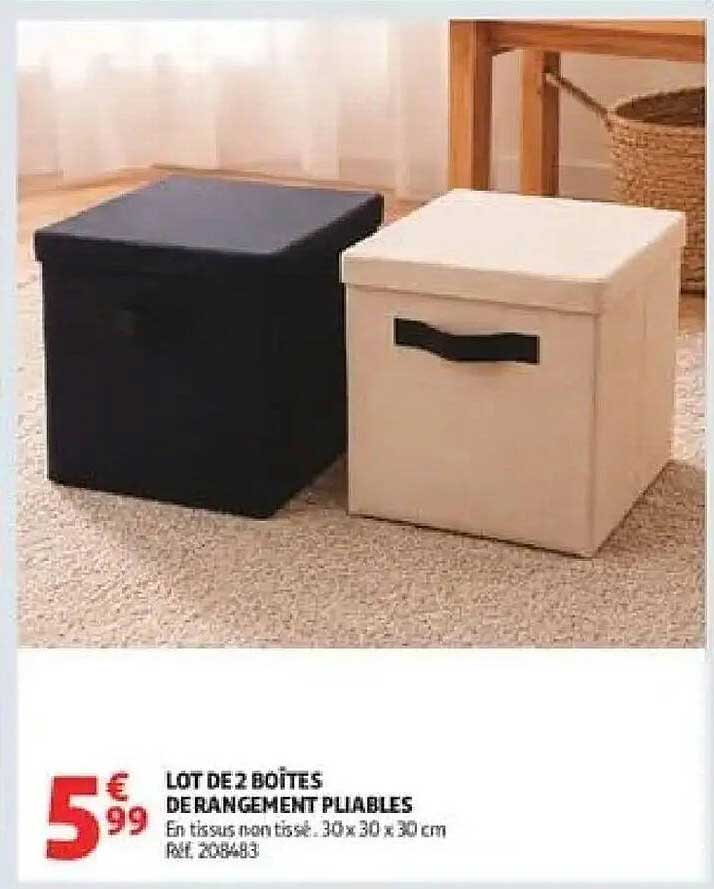 LOT DE 2 BOITES DE RANGEMENT PLIABLES