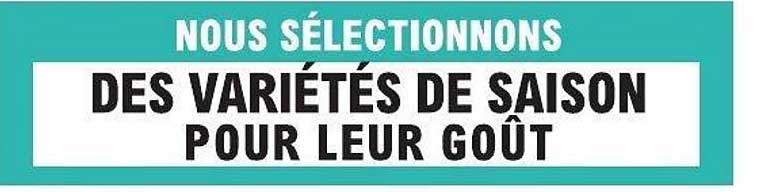 NOUS SÉLECTIONNONS DES VARIÉTÉS DE SAISON POUR LEUR GOÛT