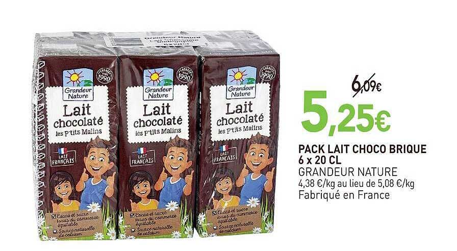 PACK LAIT CHOCO BRIQUE 6 x 20 CL GRANDEUR NATURE