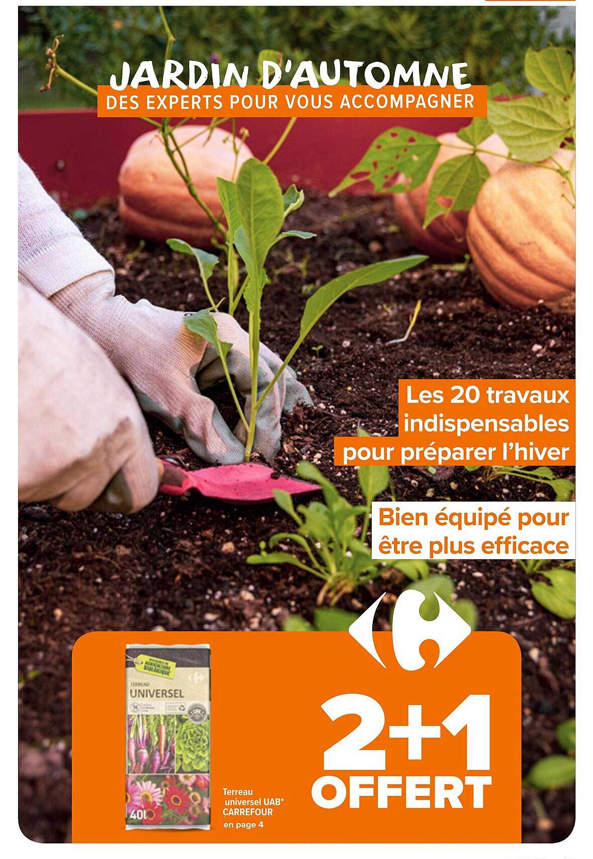 JARDIN D'AUTOMNE