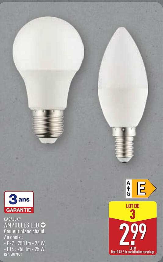 AMPOULES LED - Couleur blanc chaud