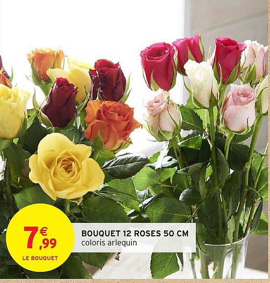 BOUQUET 12 ROSES 50 CM coloris arlequin