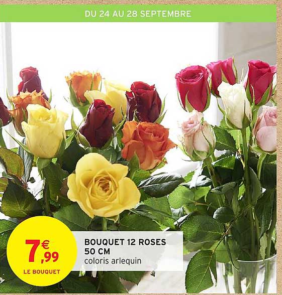BOUQUET 12 ROSES