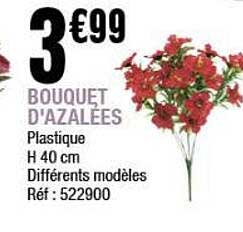 Bouquet d'Azalées