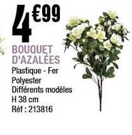 Bouquet d'Azalées