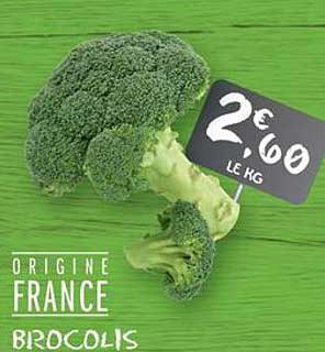 Brocolis origine France