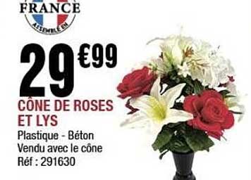 CÔNE DE ROSES ET LYS