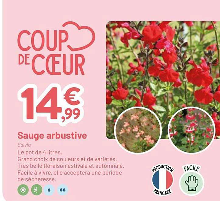 Coup de cœur