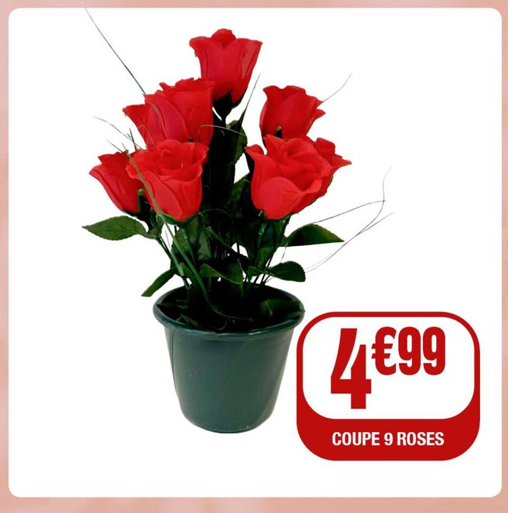 COUPE 9 ROSES