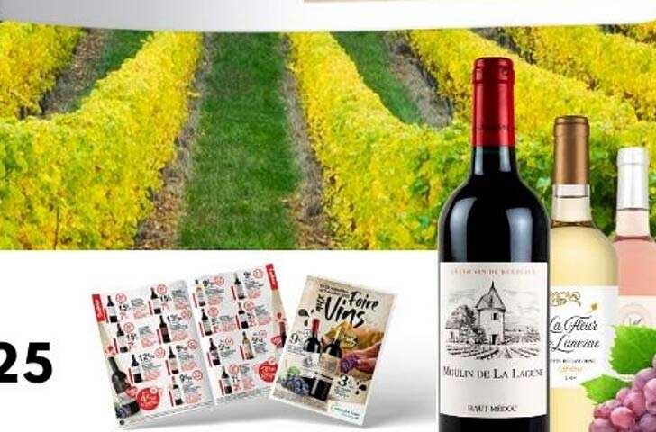 Foire aux Vins 2025
