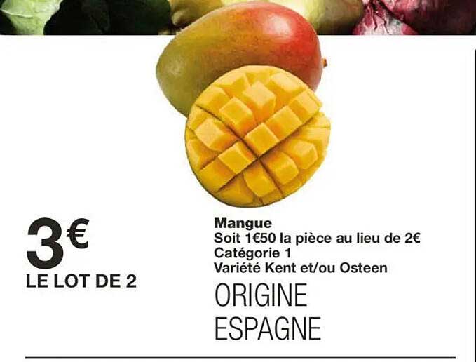 Mangue