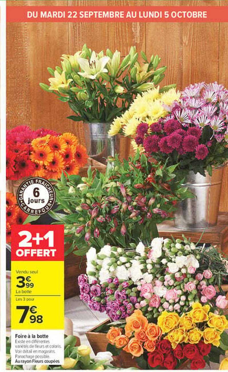 2+1 OFFERT