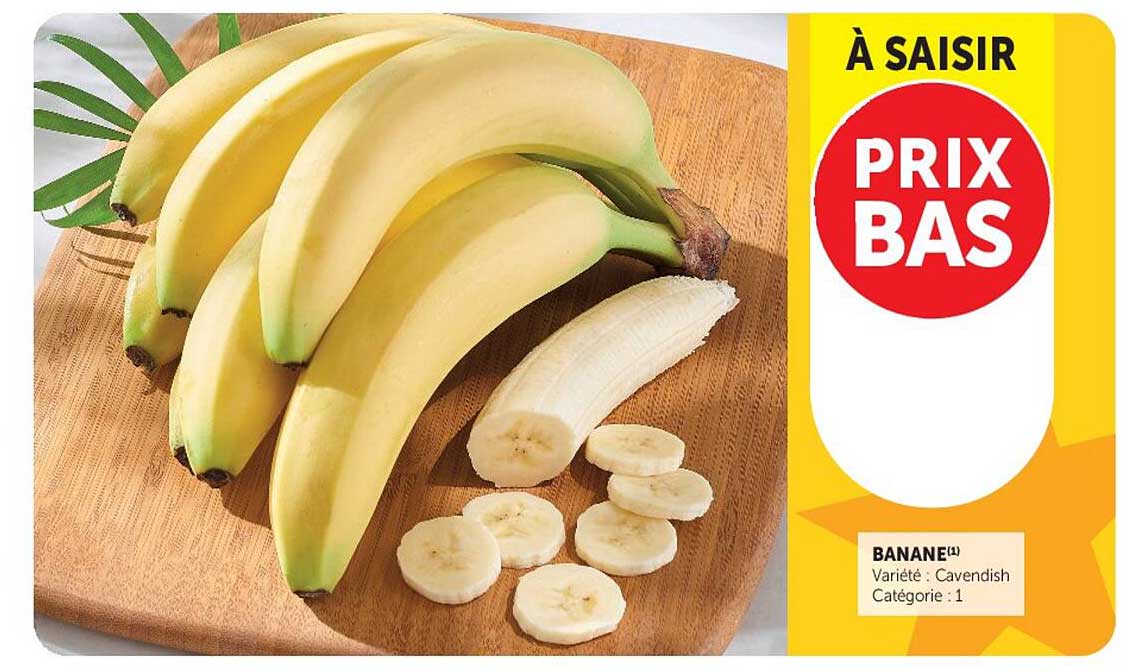 À SAISIR PRIX BAS