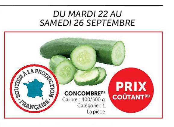 CONCOMBRE(1)