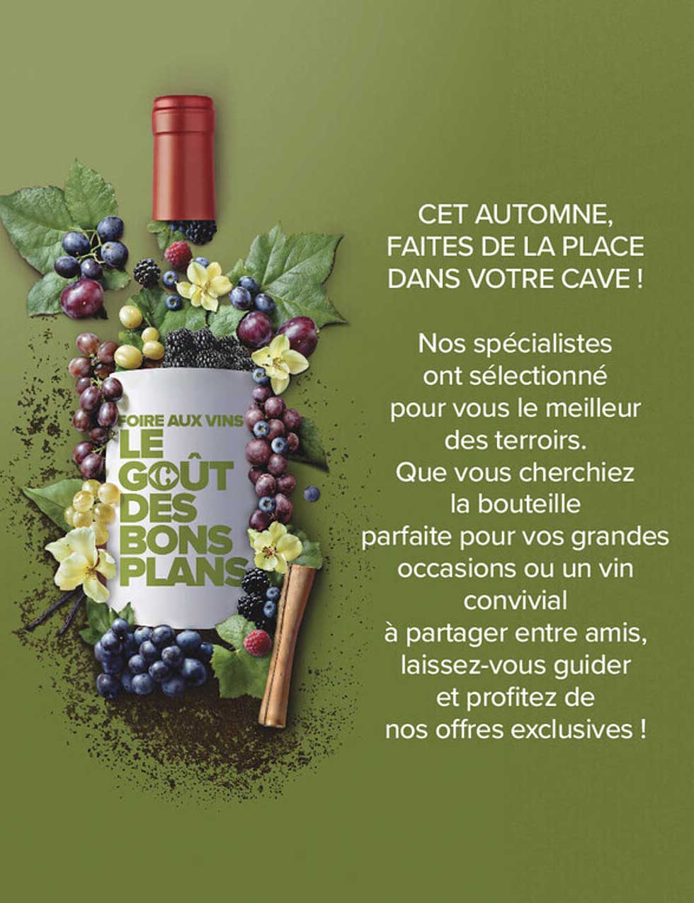FOIRE AUX VINS LE GOÛT DES BONS PLANS