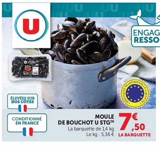MOULE DE BOUCHOT U STG(5)