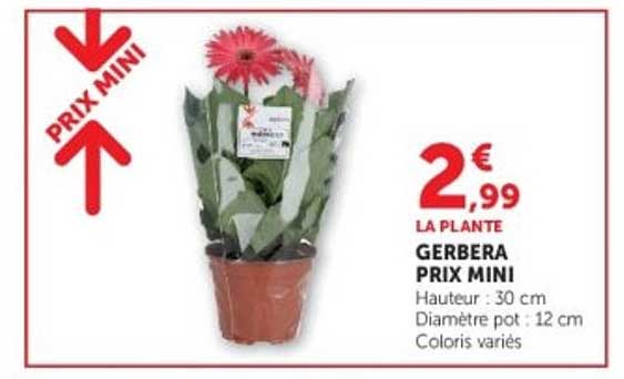 PRIX MINI