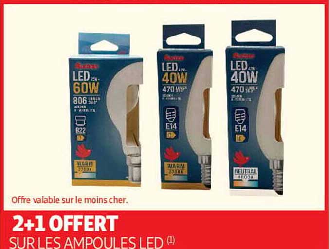 2+1 OFFERT SUR LES AMPOULES LED (1)