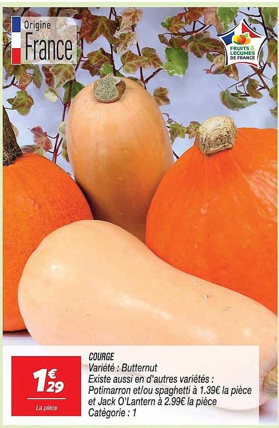 COURGE Variété : Butternut