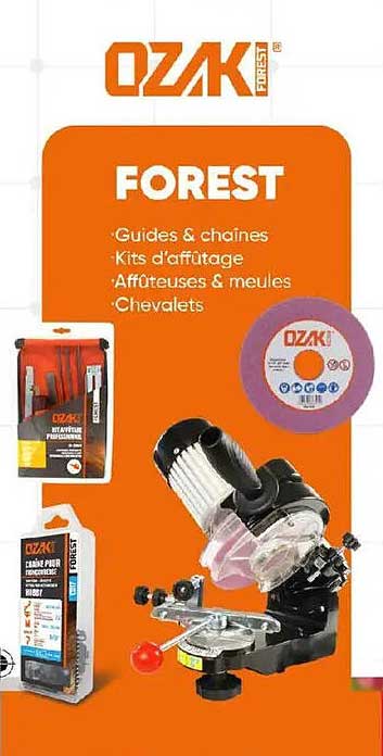 FOREST