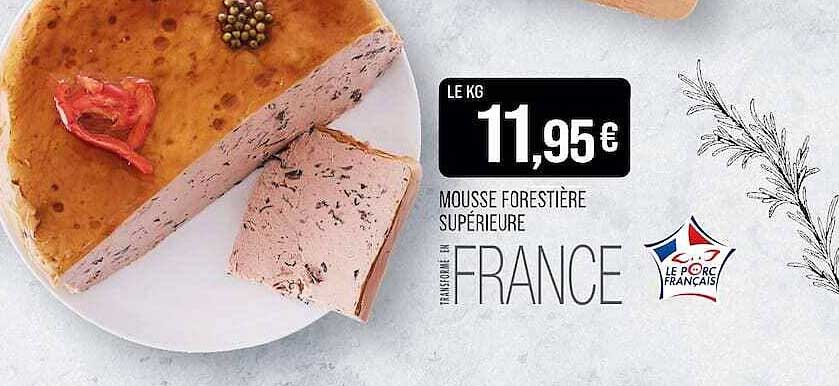 MOUSSE FORESTIERE SUPERIEURE