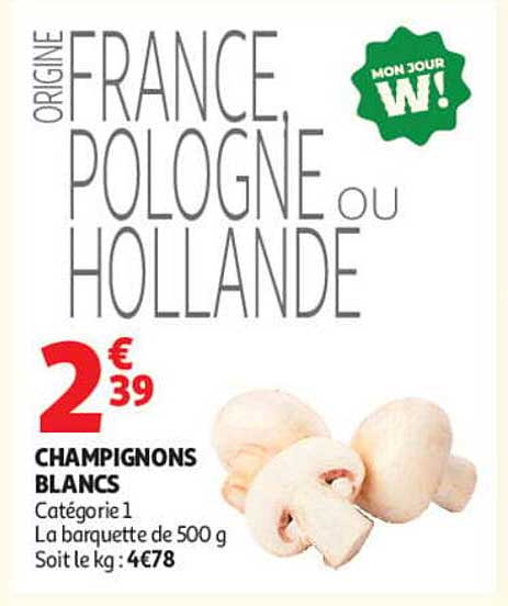 ORIGINE FRANCE, POLOGNE OU HOLLANDE