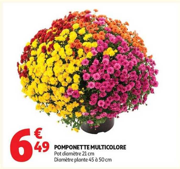 POMPONETTE MULTICOLORE