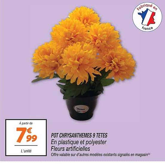 POT CHRYSANTHEMES 9 TETES