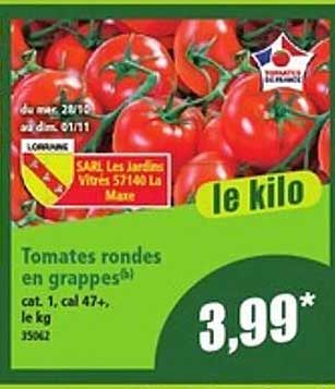 Tomates rondes en grappes