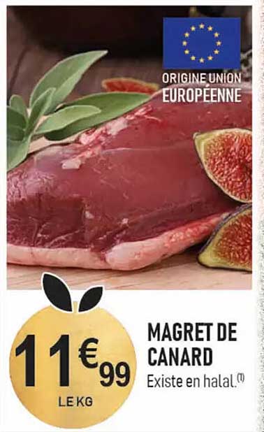 MAGRET DE CANARD