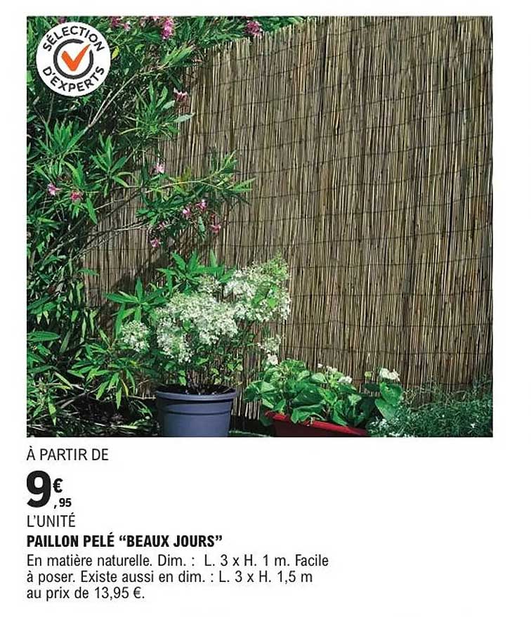 PAILLON PELÉ "BEAUX JOURS"